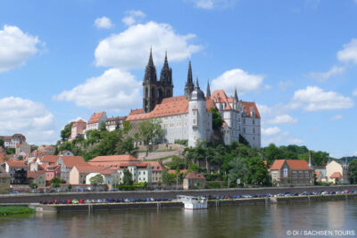 Rebschnittlehrgang in Coswig