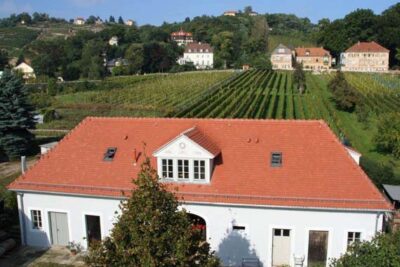 Tag des offenen Weingutes Haus Steinbach