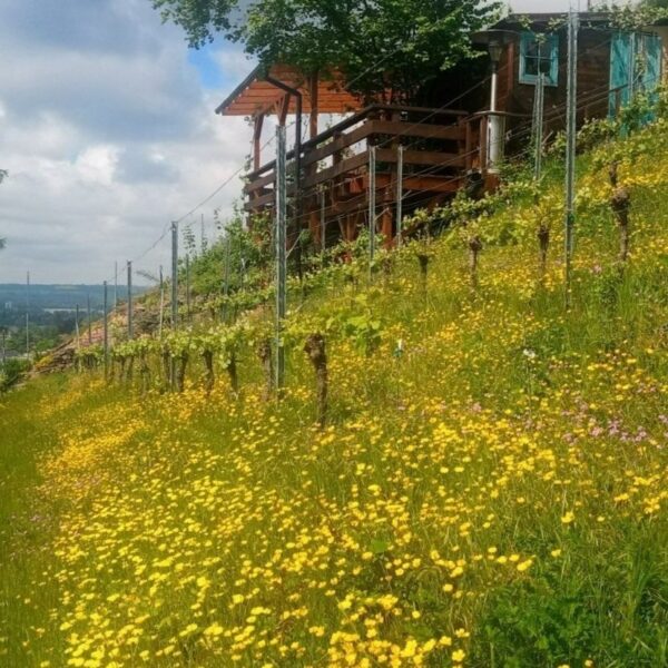 BesenschänkeHaselbusch