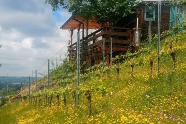 Besenschänke Haselbusch