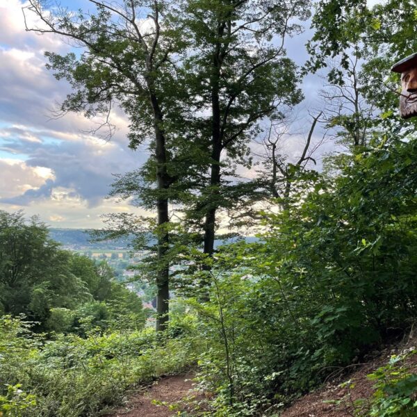 Besenschänke„Zur Gemse“