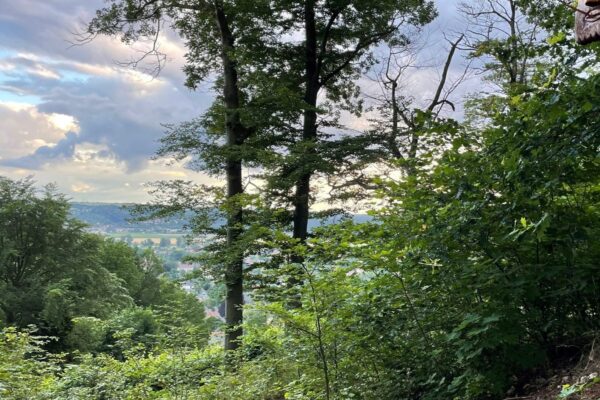Besenschänke „Zur Gemse“